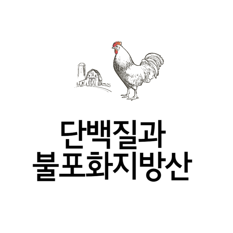 단백질과 불포화지방산