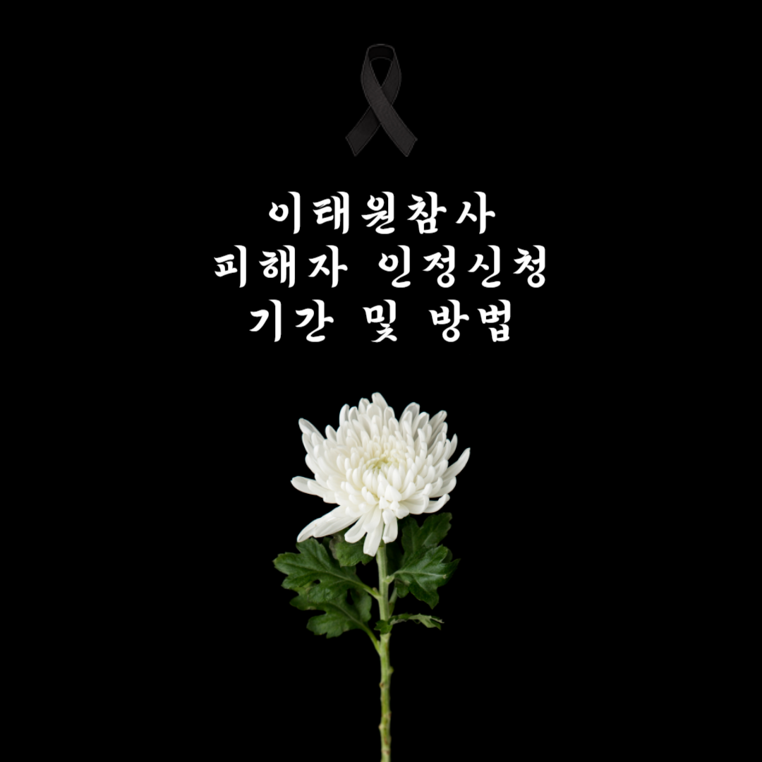 이태원 참사 피해자 인정 신청기간, 방법 총정리!!!