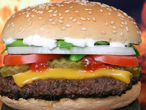 여성 탈모 원인