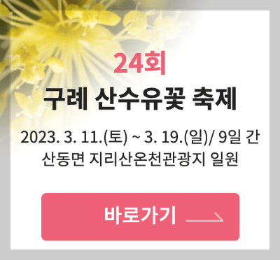 전남 구례 산수유마을 꽃 축제