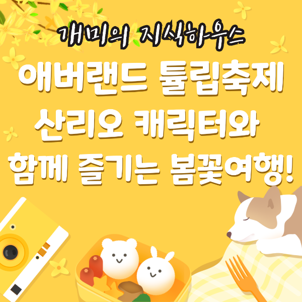 애버랜드 튤립축제