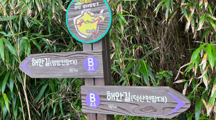 덕봉산 해안생태탐방로