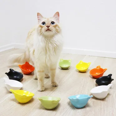 &amp;quot;고양이