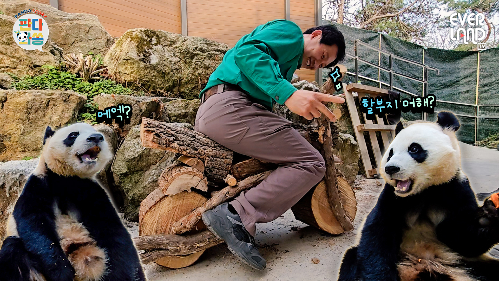 툥가이버의 귀환 (Feat.바오토바이🏍️)｜#판다와쏭 #248