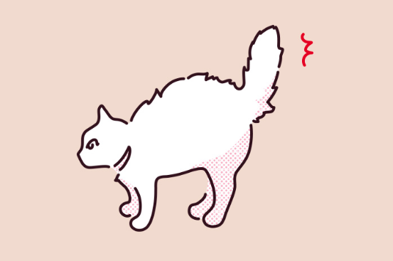 고양이 꼬리가 부풀어 오를 때의 일러스트