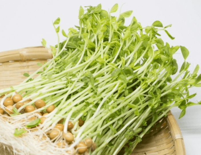 완두순, 더우미아오(Pea Shoot) 효능
