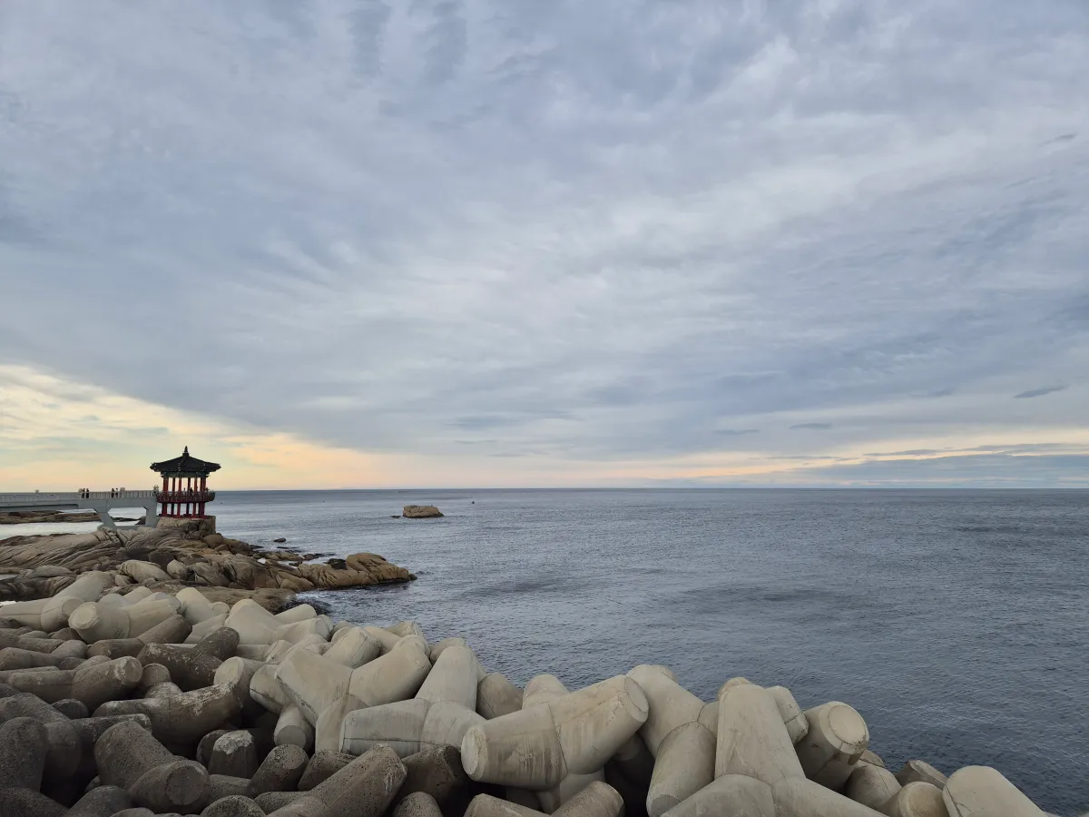 영금정_근처_바닷가_해돋이 정자