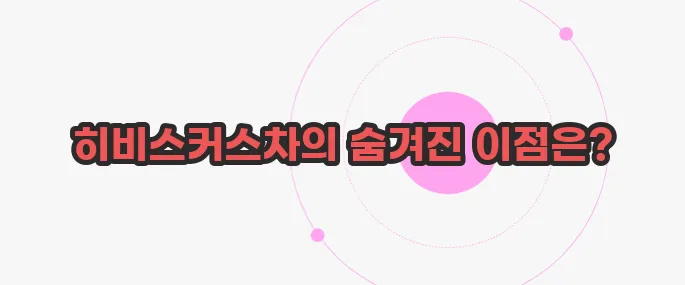 히비스커스차 효능 지금부터 들여다보죠