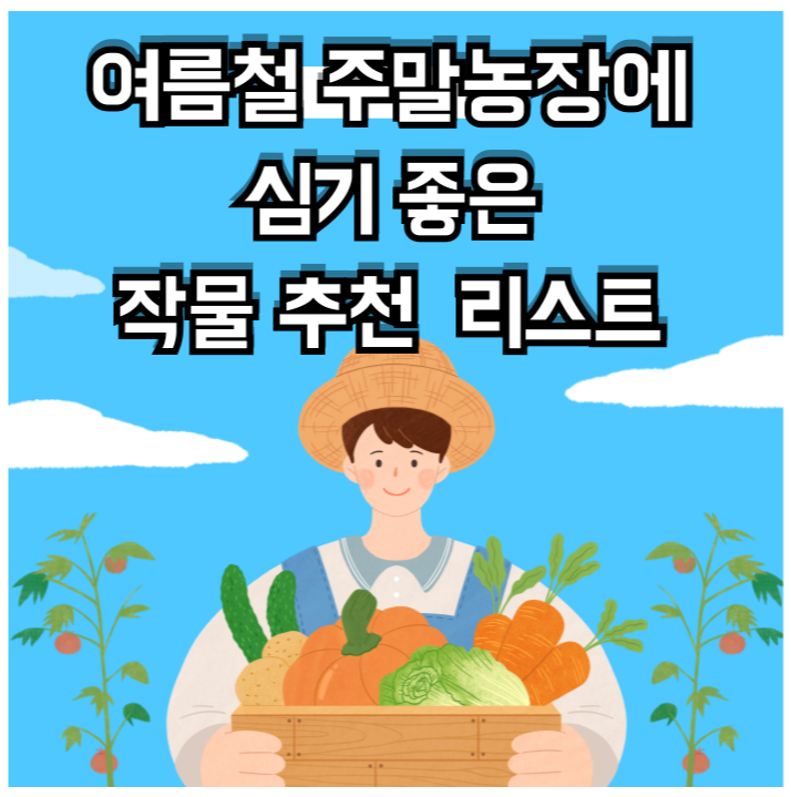여름철 주말농장에 심기 좋은 작물 추천 사진