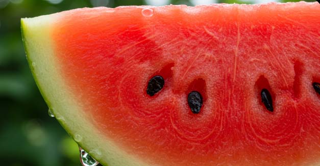 무더위에 좋은 음식 수박
