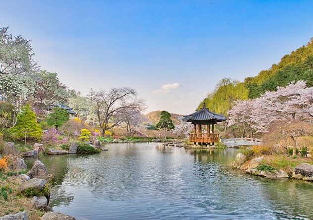 아침고요수목원 가을사진