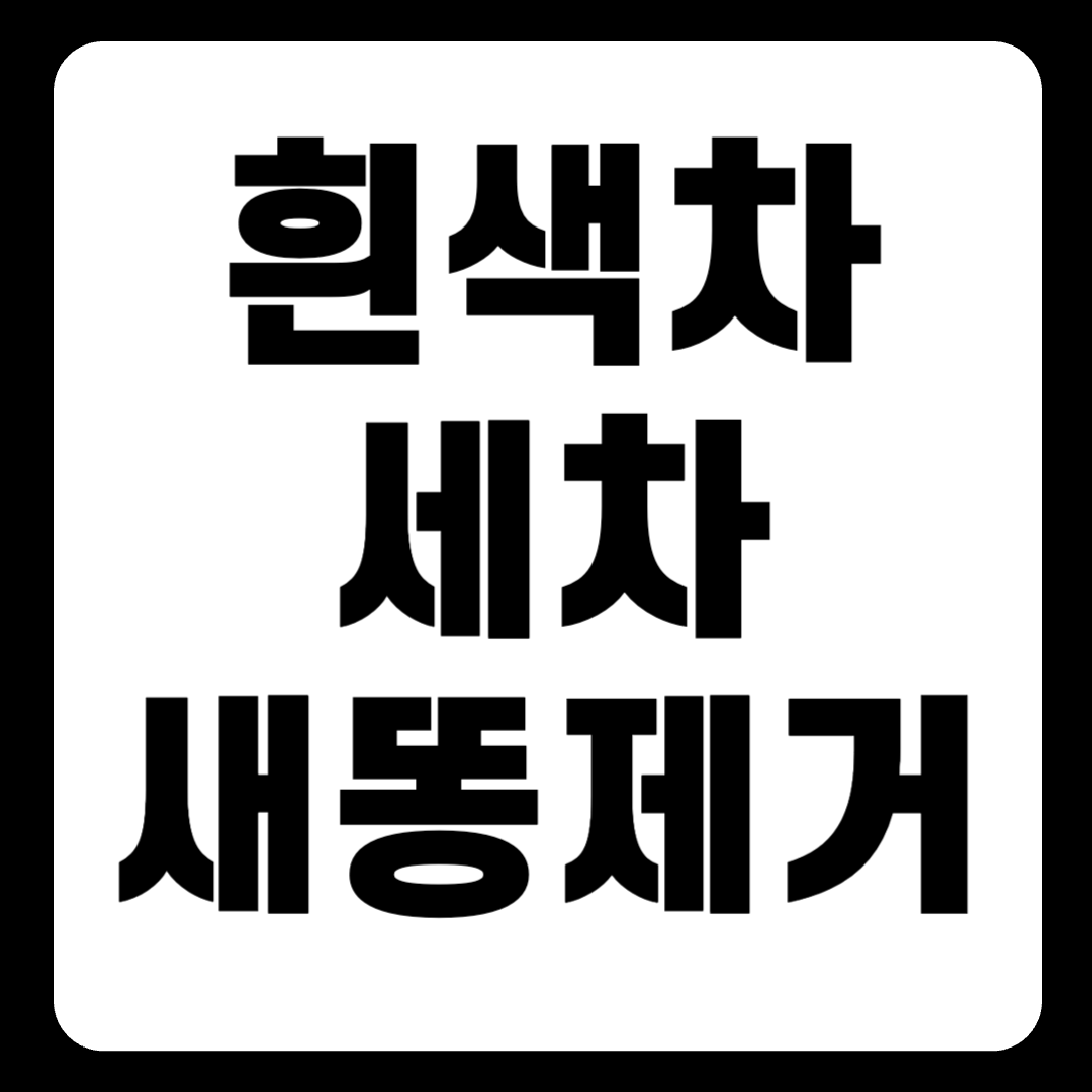 흰색 차 세차, 맑은 날씨 때 빼고 광내 보자 (+새똥 제거)