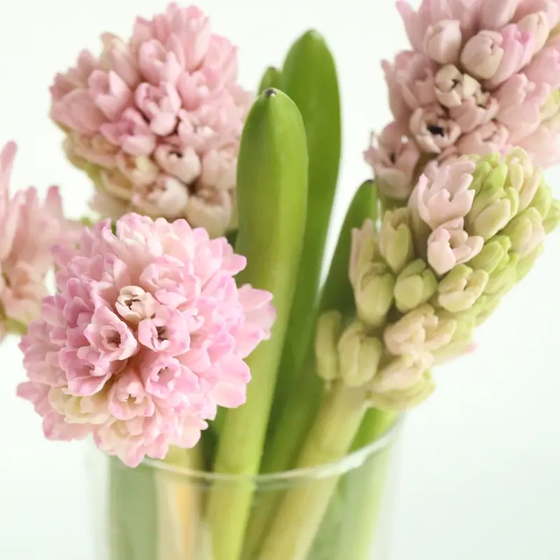 향기롭고 뽀송뽀송한 수건