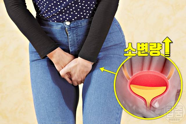 나트륨 과다섭취 증상 소변 자주 마려움 나트륨하루권장량