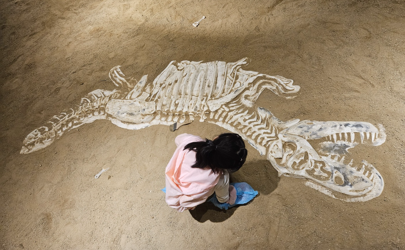 용인 공룡테마파크 다이노베이 시즌2,비오는날 딸과 데이트 (주말 예약, 할인)