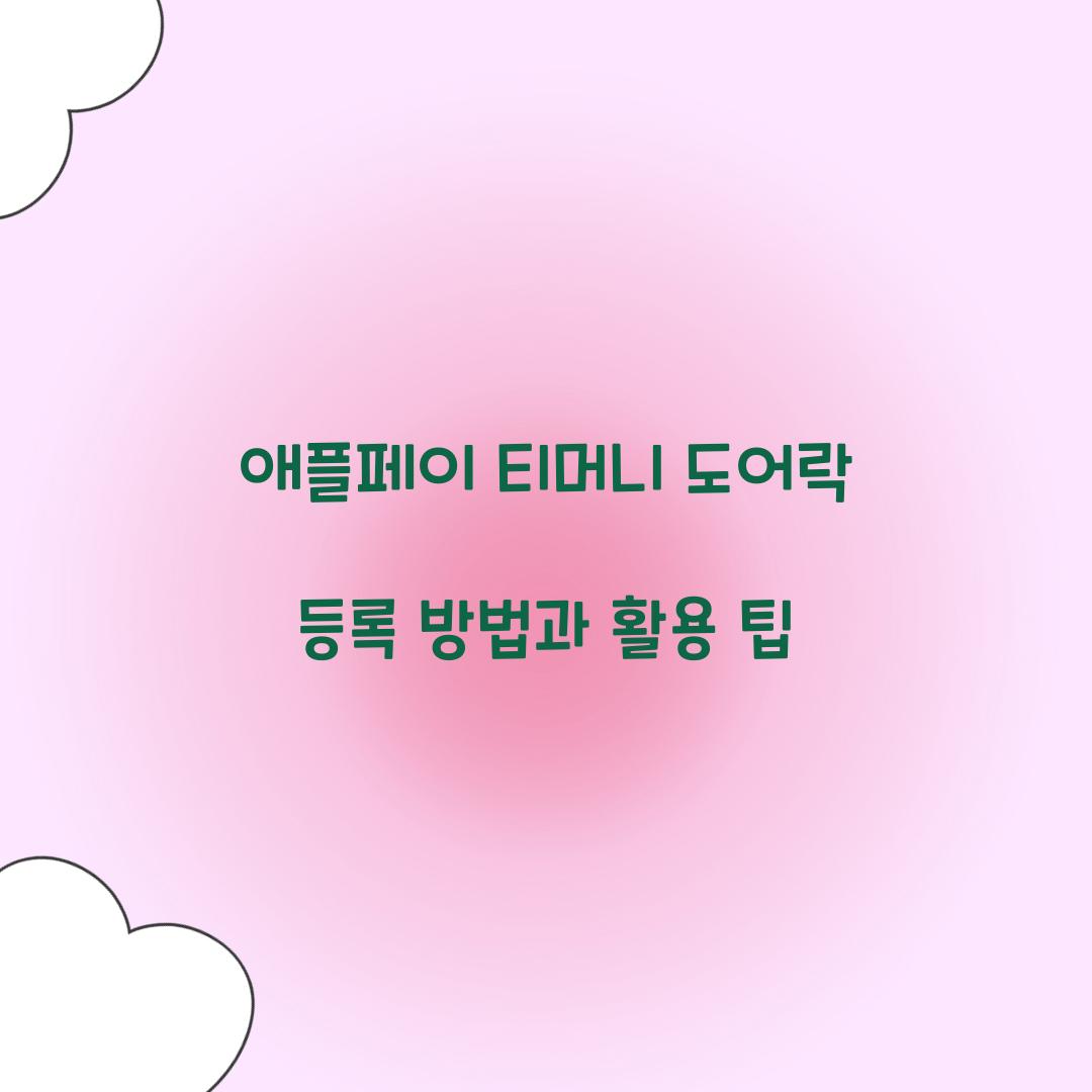 애플페이 티머니 도어락