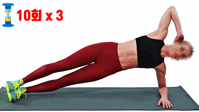 사이드 트위스트 플랭크, 허리22인치 트와이스 모모 복근운동 개미허리 다이어트, 팁줌 매일꿀정보