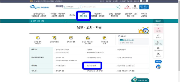 국세환급금