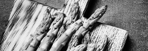 아스파라거스 재배방법, 아스파라거스 키우기