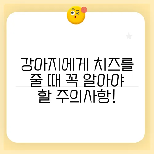 강아지에게 치즈를 줄 때 꼭 알아야 할 주의사항!