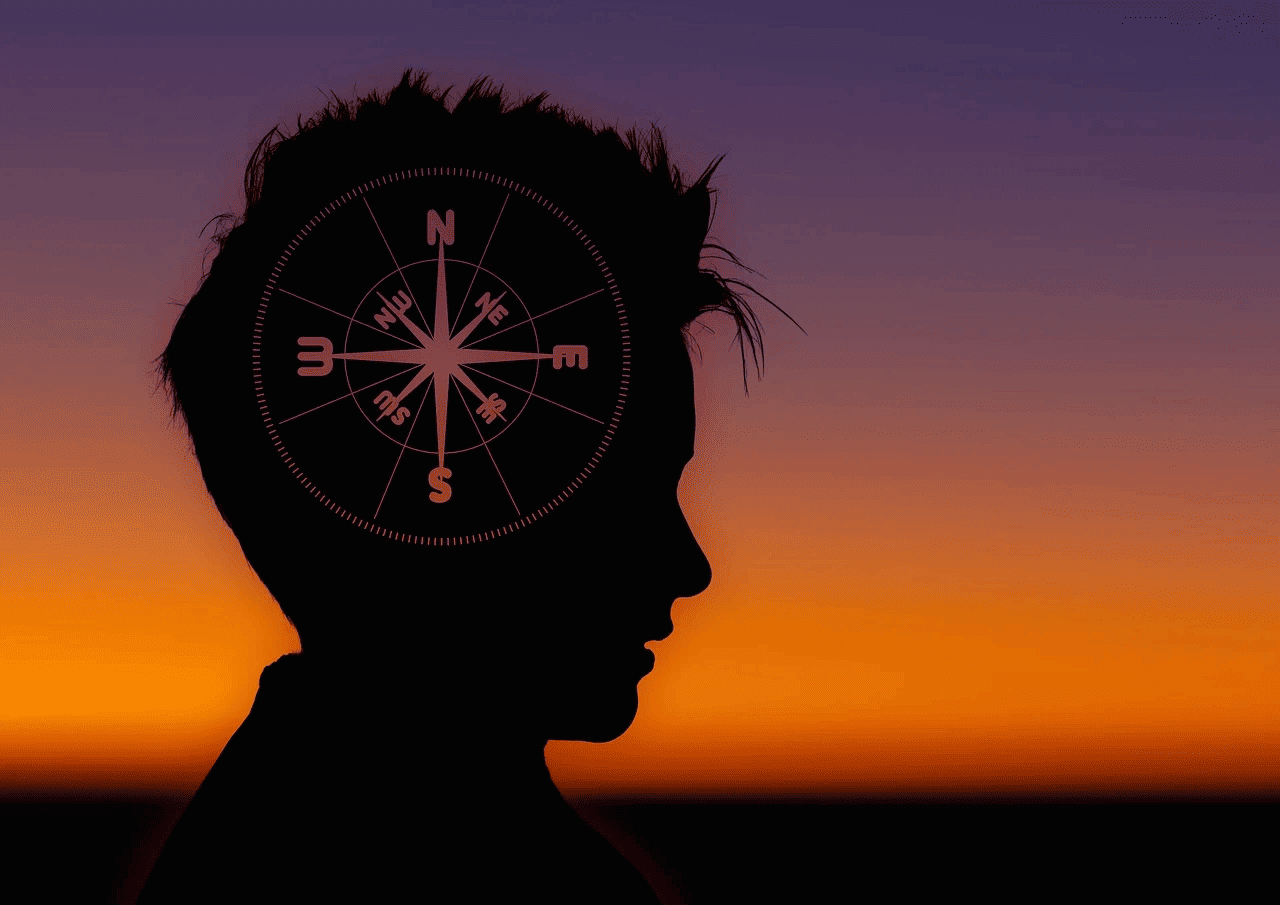 호르몬제와 식물성 대체제 알아보기