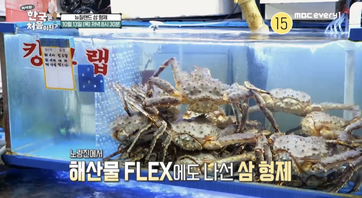 어서와한국은처음이지수산물시장사진