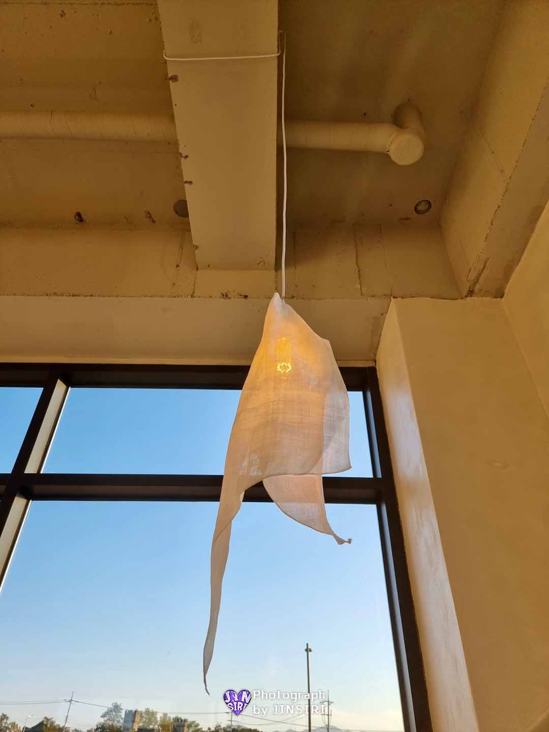 원주 여행 행구동 카페 추천 반려견동반