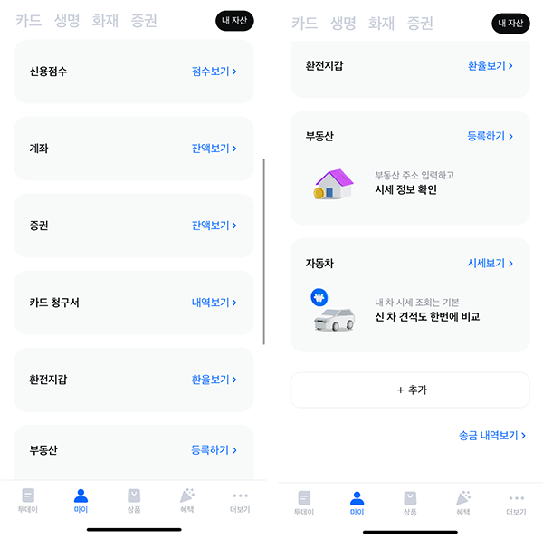 내자산 보고 화면 이미지 캡쳐본