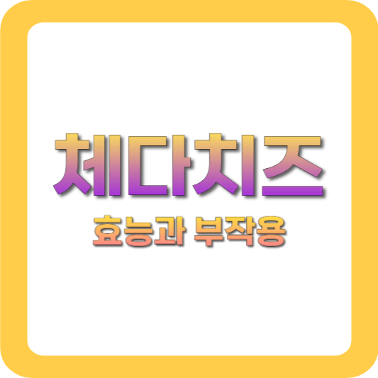 체다치즈 총정리