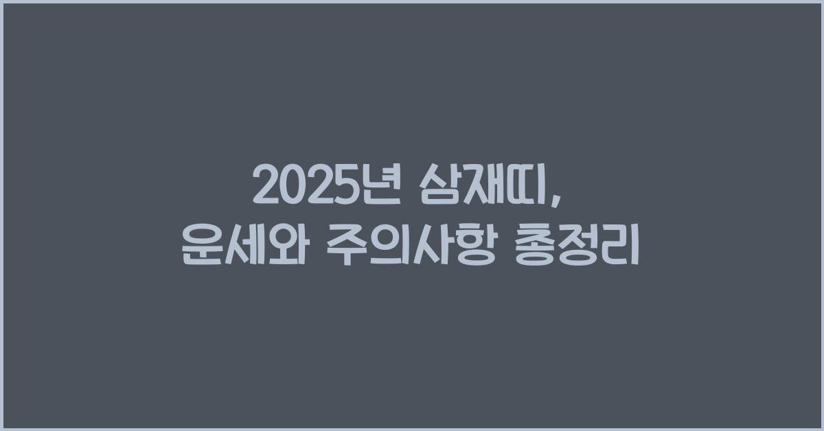 2025년 삼재띠