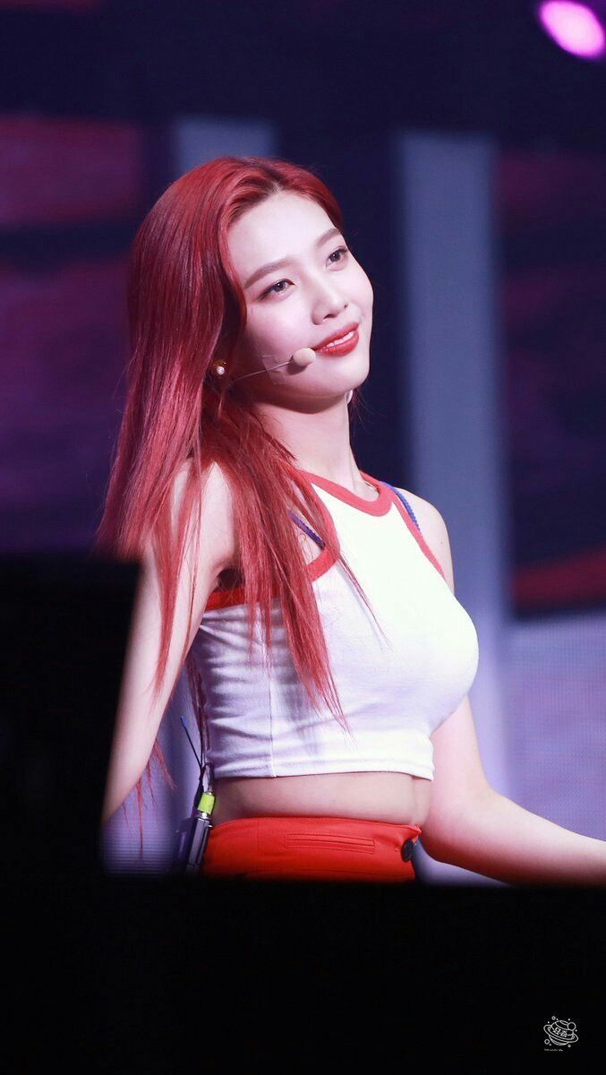 레드벨벳 조이 사진 몸매 국적 나이 키 등등 모음