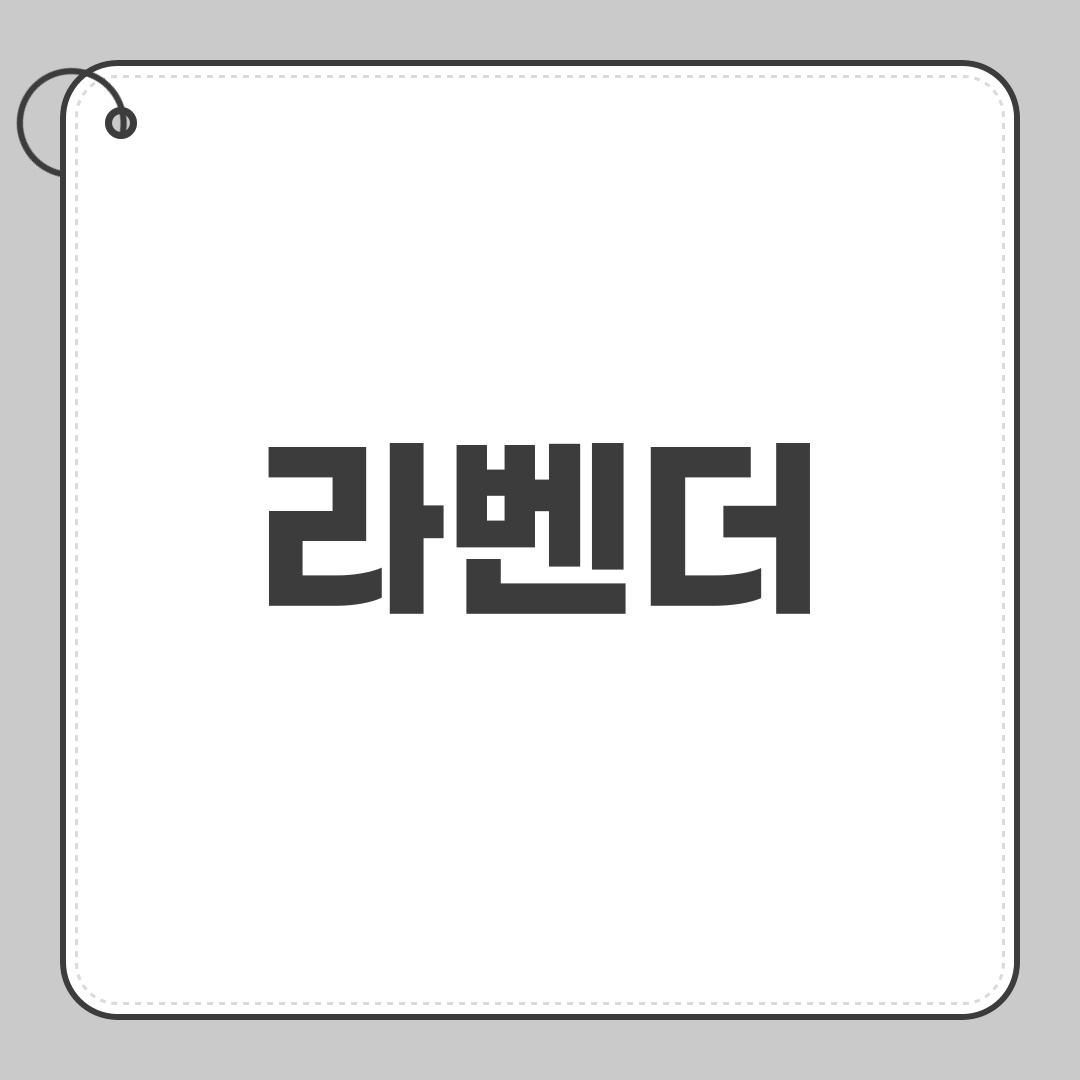 라벤더