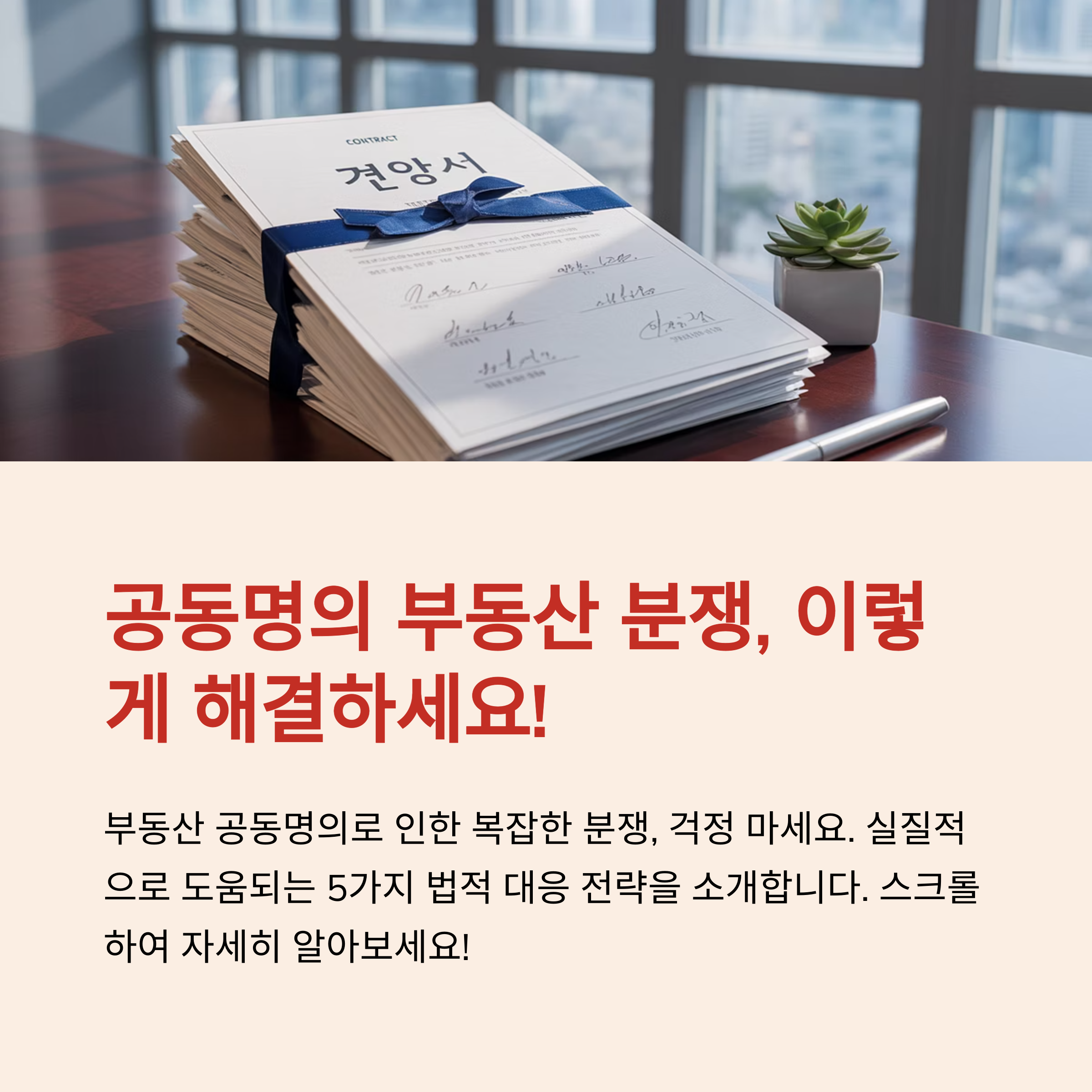 1공동명의-분쟁