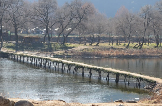 영월 섶다리의 가을