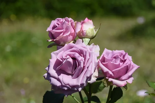 구천 치욕 복수 오월동주 와신상담 뜻 유래 의미_9