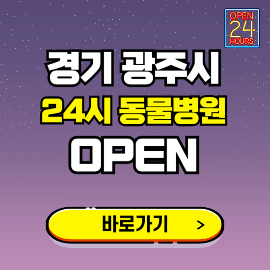 경기 광주시 24시 동물병원 진료하는 곳 ❘ 설날 휴일 야간 심야 문여는곳 찾기 ❘ 응급진료