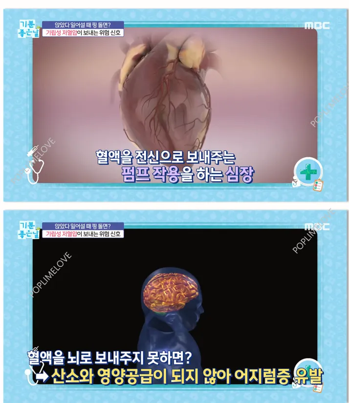 증상과 원인
