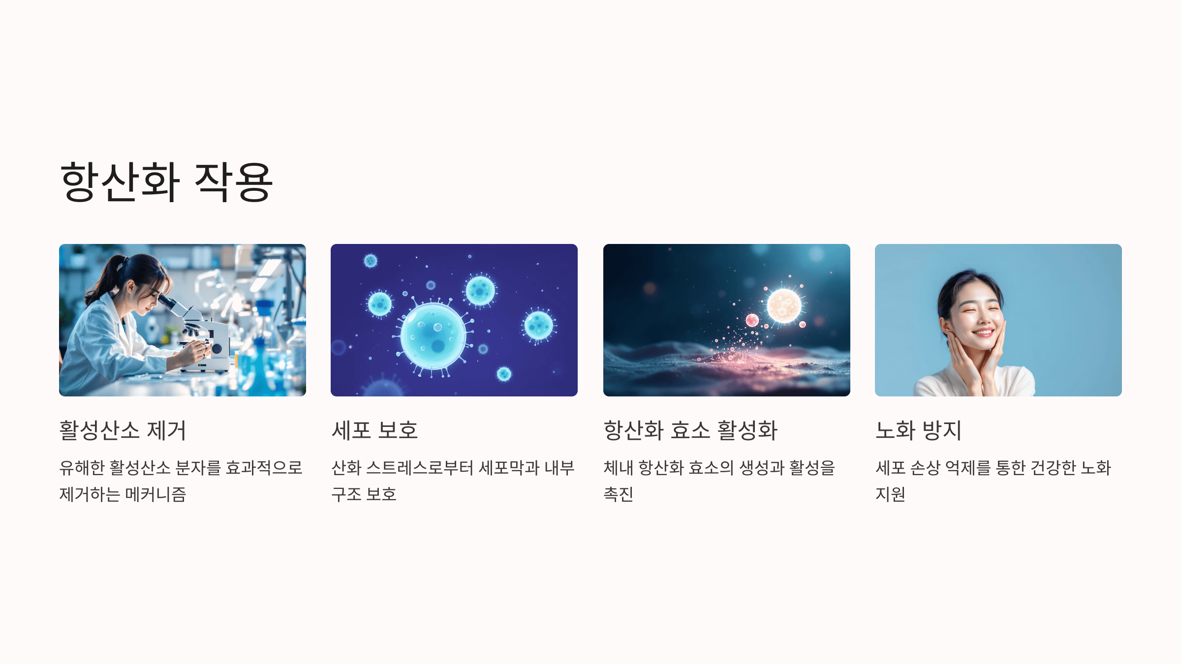 루피니빈과 관련된 사진입니다.