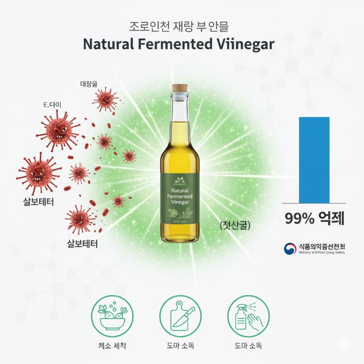 천연식초의 항균 작용을 보여주는 과학 인포그래픽. 중앙에 천연식초 병이 있고, 주변에 젖산균(초록색 원형)이 방사형으로 퍼져나가는 모습. 왼쪽에는 식중독균들(대장균, 살모넬라 등 빨간 세균 모양)이 있고, 오른쪽에는 '99% 억제' 차트. 하단에 채소 세척, 도마 소독 등 활용 장면을 작은 아이콘으로 표시. 식품의약품안전처 로고 삽입. 위생과 안전을 강조하는 그린-블루-화이트 청결한 컬러 조합