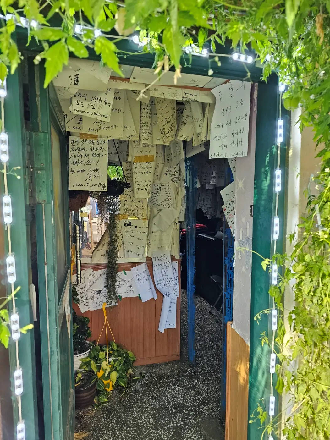 [강화 갈만한 곳] 교동 대룡시장 (어서와 한국은 처음이지 장소)