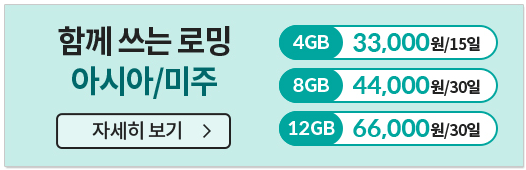 kt로밍 신청 요금 해외 장기 체류