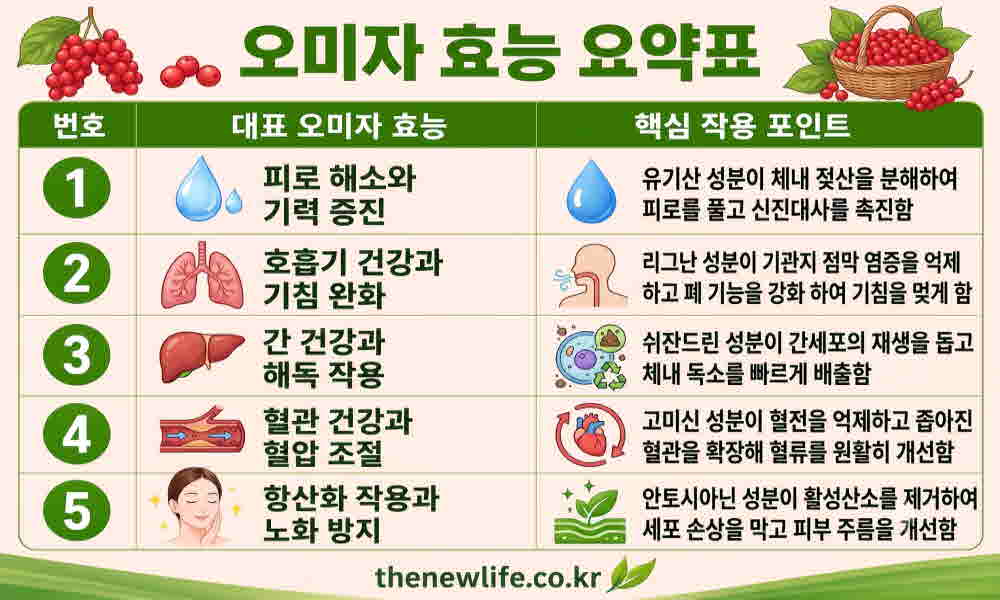 오미자 효능 요약표