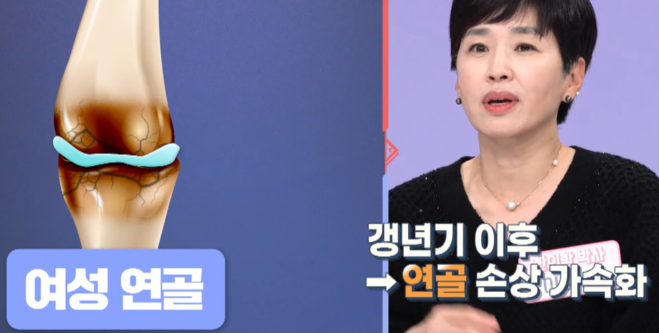 msm의 효능