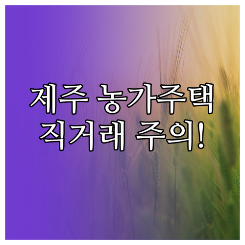 제주도 토지 농가주택 매물 확인과 개..