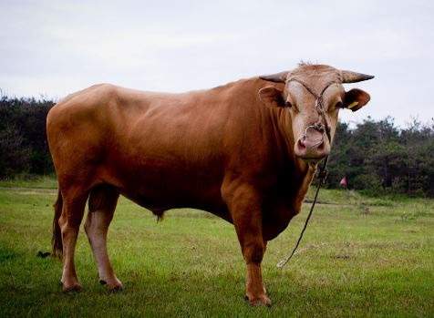 오늘의-운세-2023년-12월-27일-오늘의-띠별-운세