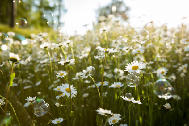인문학적 사고와 마음공부로 인생을 바꾸는 방법