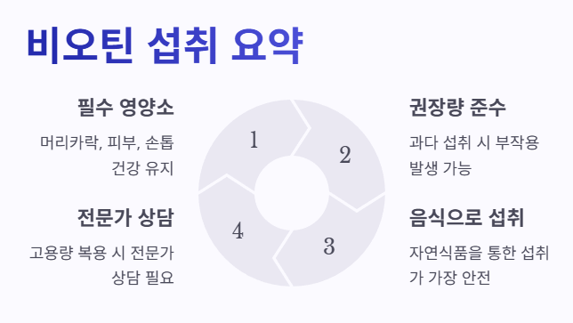 비오틴 섭취 요약