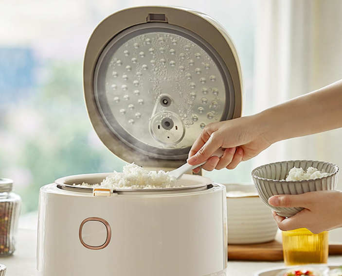 저당밥솥 유사과학일까? 연구로 밝혀진 진실과 주의사항