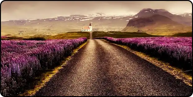 2024 ๋ค๋์ ๊ธฐ๋ํ ๊ฐ์ฌ ๋ฐ ์ผ์ (ํํ์ด์ง์์ ์๋ฐฉ์ก ๋ณด๊ธฐ)