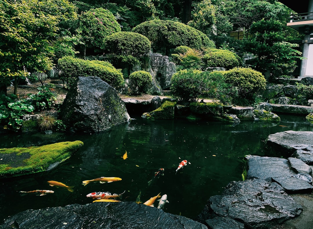 Visit Japan